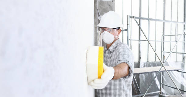 Biohazard Mold Removal in Granite Bay, CA