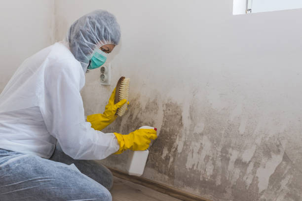 Mold Remediation for Rental Properties in Granite Bay, CA