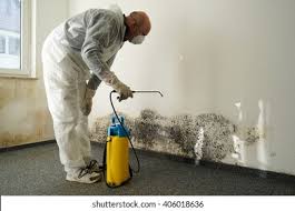 Professional Mold Removal & Remediation in Granite Bay, CA